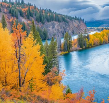 Autumn landscape